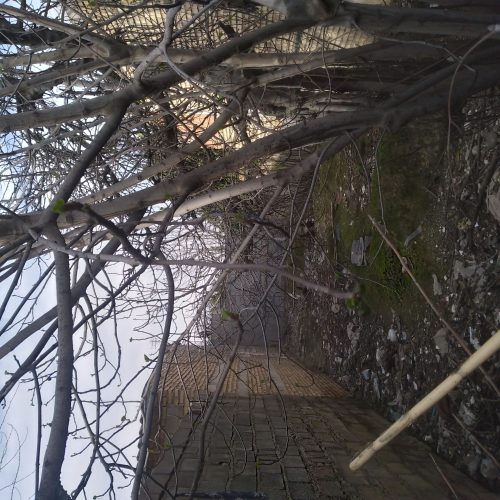 زمین متراژ ( .117متر. ) 5:در23متر