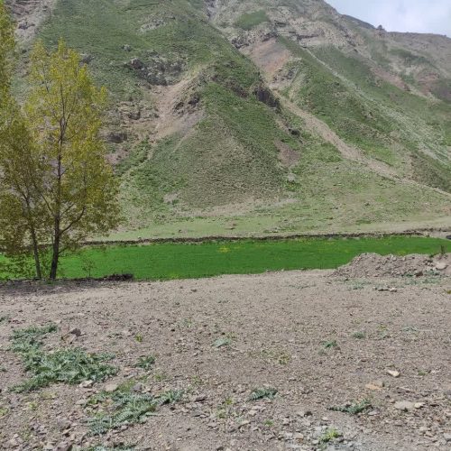 زمین فروشی در منطقه نمارستاق