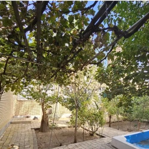 پارکینگ سه تا انباری دو خاب کف سرامیک دیوار تا یک متر و نیم سرامیک بازسازی شده سقف کناف شده و نور مخفی حیاط دلباز پنج مدل درخت انگور در یک باغچه یک متری