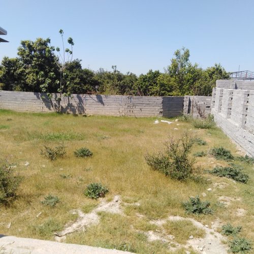 فروش زمین