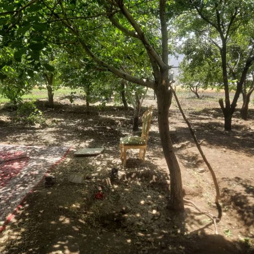 فروش باغ سر جاده اصلی سنندج