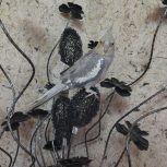 عروس هلندی گم شده