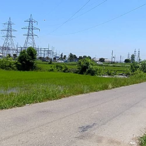 زمین کشاورزی 3670 متر