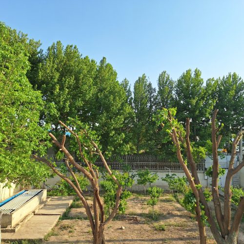 خانه ویلایی .اجاره