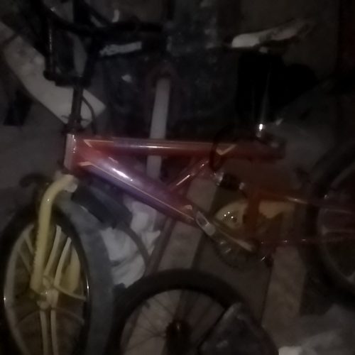 سینماخانواده