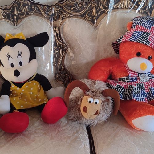 16 عدد خرس و‌عروسک