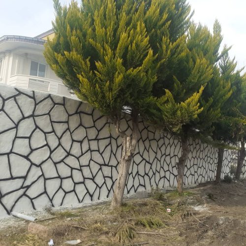 ترح سنگ با کنده درخت فرش سنگ با سیمان در خدمتم کرمان