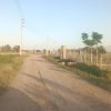 زمین باغی تفکیک شده