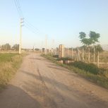 زمین باغی تفکیک شده