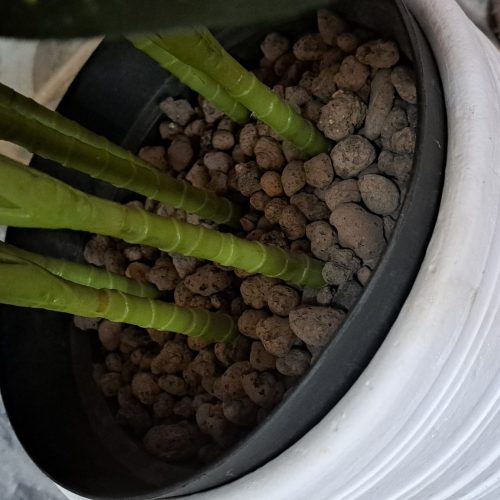 گل مصنوعی – برند چوبشار .