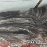 اکستنشن کلیپسی