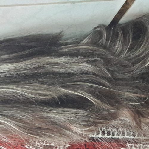 اکستنشن کلیپسی