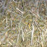 یونجه خالص دیم ترگور روستای قصریک