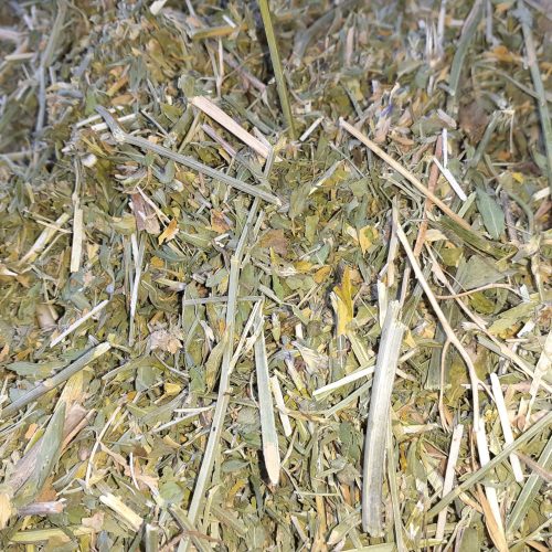 یونجه خالص دیم ترگور روستای قصریک