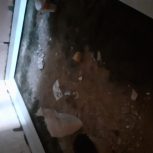 فروش خانه مسکونی واقع در کوی فرهنگ ارومیه