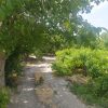 زمین باغ
