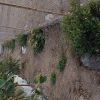 باغ فنس کشی در چقا