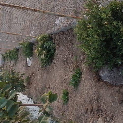 باغ فنس کشی در چقا