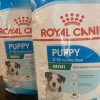 غذای،خشک سگ و گربه رویال کنین
