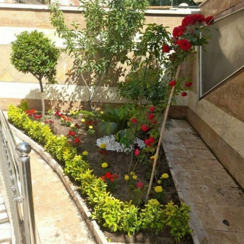 باغبانی باغچه کاری گل کاری تعویض خاکگلدان در منزل