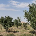 فروش باغ زیبا