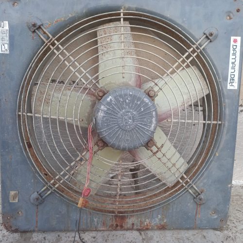 فن دیواری و سوله ای