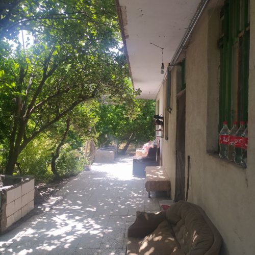 زمین باغ