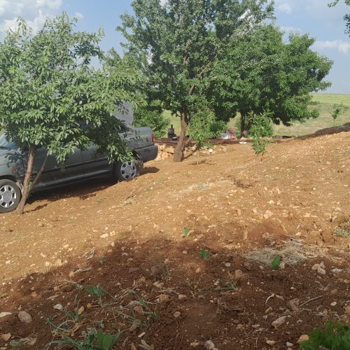 یک هکتار باغ بادام و انگور