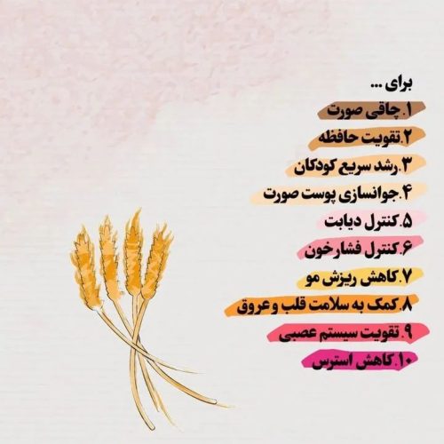 جوانه گندم  تپلی صورت