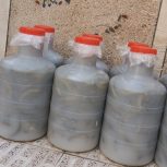 فروش خیار شور