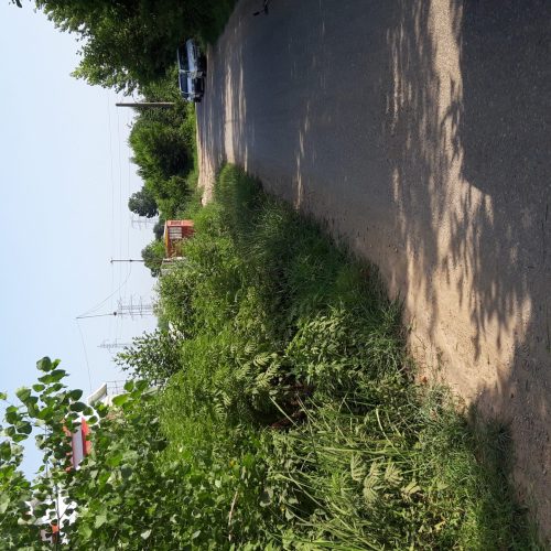 زمین مسکونی دارای پروانه ساخت