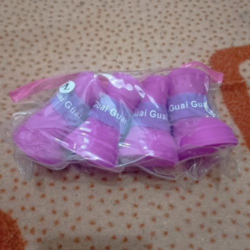 کفش و جوراب سگ