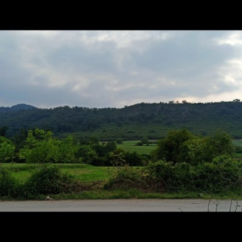 زمین باغی ب قیمت