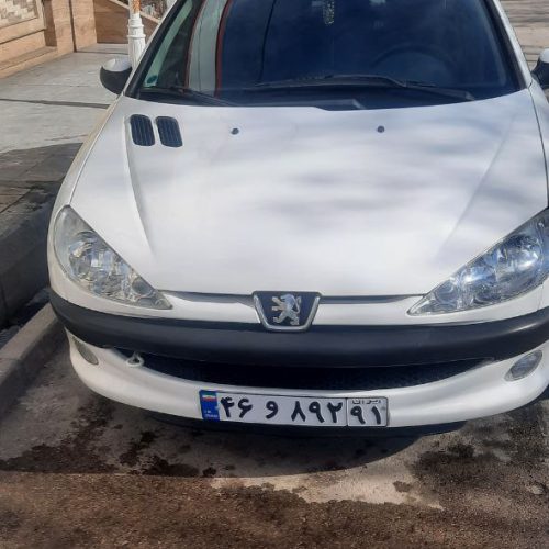 206 تیپ دو کم کارکرد خانگی