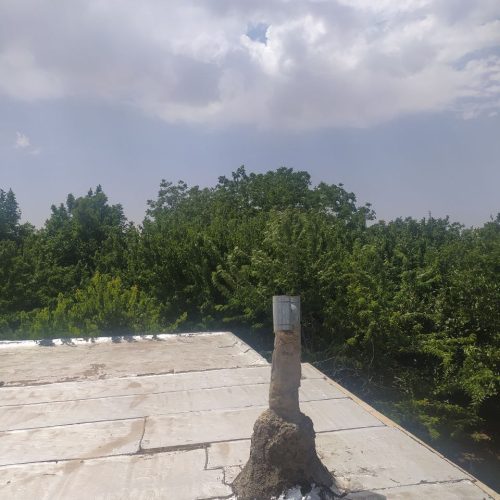 زمین باغ