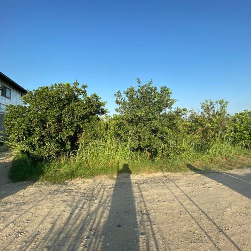 قیمت توافقی