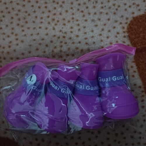 کفش و جوراب سگ