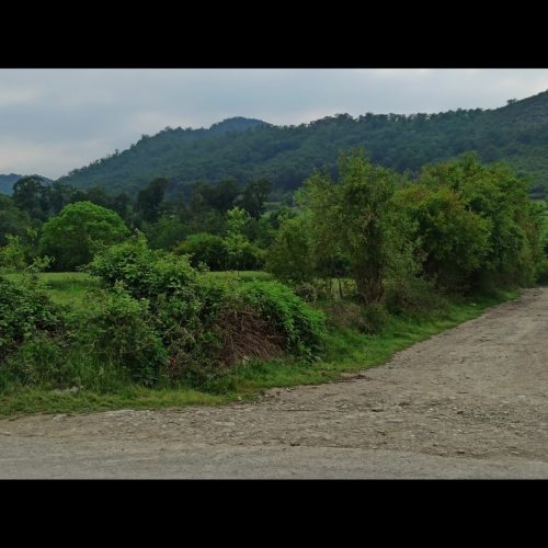 زمین باغی ب قیمت