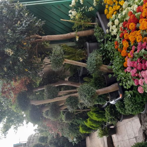 باغبانی باغچه کاری گل کاری تعویض خاکگلدان در منزل