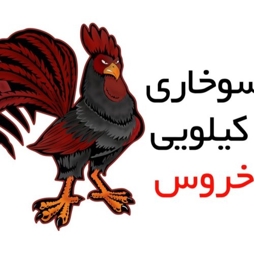 طراح و گرافیستم