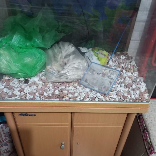 آکواریوم در حد