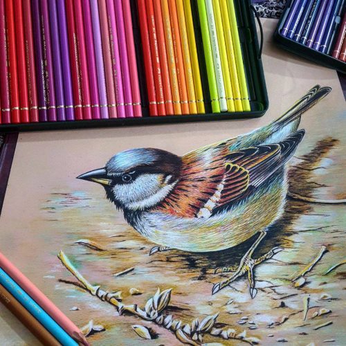 آموزش نقاشی