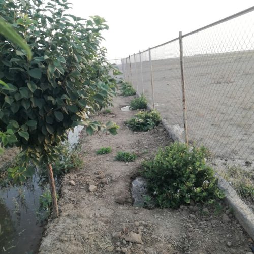 باغ فنس کشی در چقا