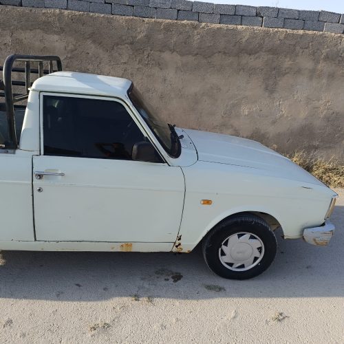 موتور پلمپ موتور سالم سالم