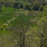 زمین فروشی