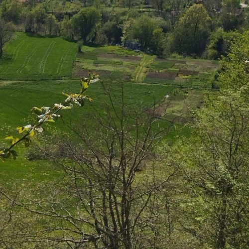 زمین فروشی
