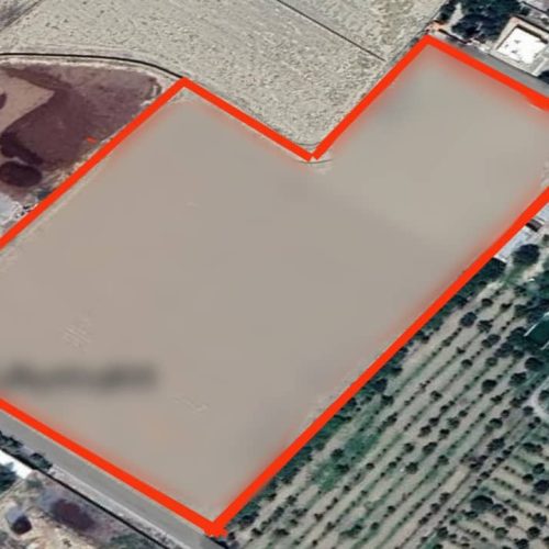 زمین کشاورزی
