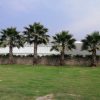 زمین کشاورزی به مساحت 8000متر