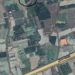 باغ مرکبات یک هکتار