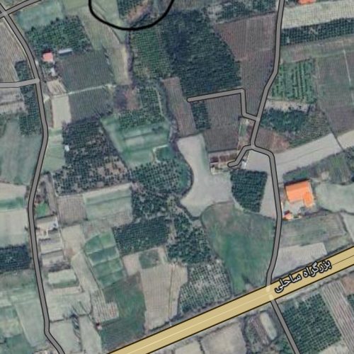 باغ مرکبات یک هکتار